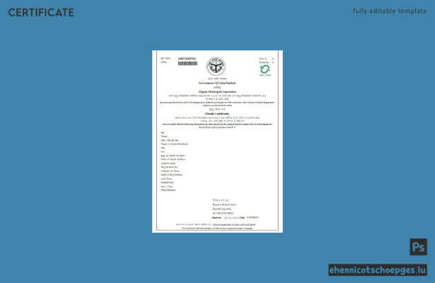 Beispiel einer Sterbeurkunde der Stadtverwaltung Aligarh, Indien (Vorschau)